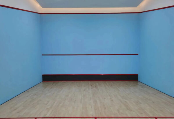 Plastered Squash court - Image 2